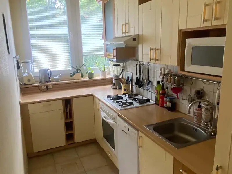 Pronájem bytu 3+kk, 73 m², Brno-město, Brno